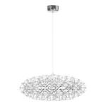 Превью фото №6  Подвесной светильник 9027-75 Chrome Подвесной светильник LOFT IT Raimond