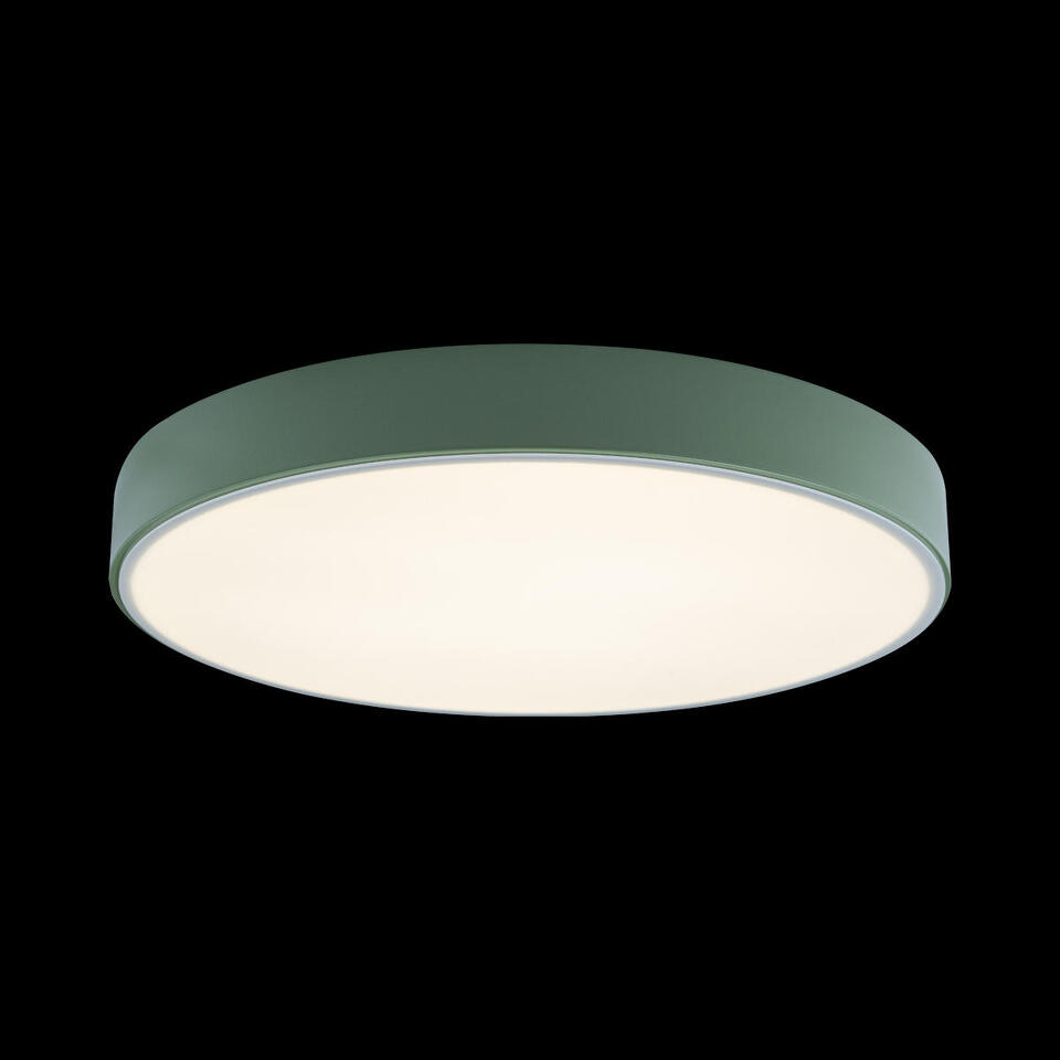 Фото №4  10002/24 Green Потолочный светильник LOFT IT Axel
