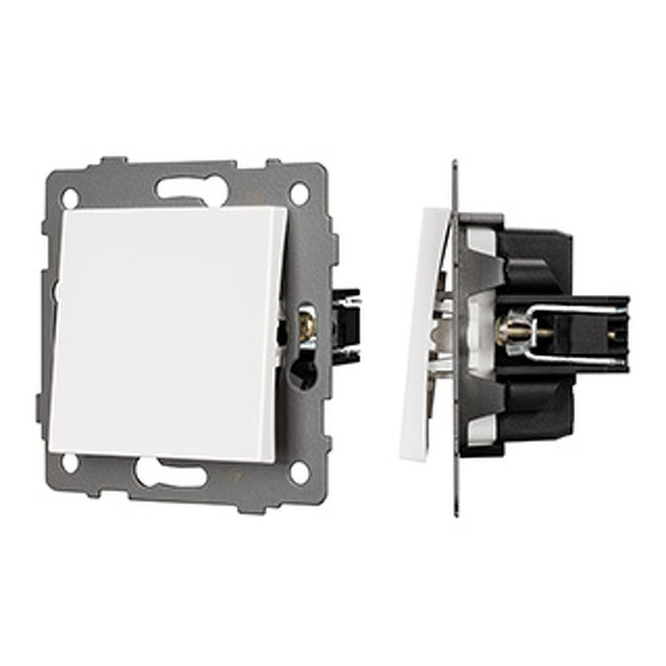 Фото №1  Arlight Механизм выключателя одноклавишный самовозвратный SWT-MKR1-PL-WH-V (250V, 10A) ( -)
