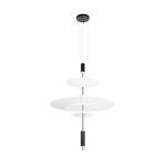 Превью фото №3  Подвесной светильник 10244/C Black Подвесной светильник LOFT IT Skylar