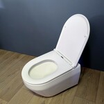 Превью фото №10  Унитаз Teymi Унитаз подвесной Demi безободковый, сиденье Дюропласт микролифт T40208