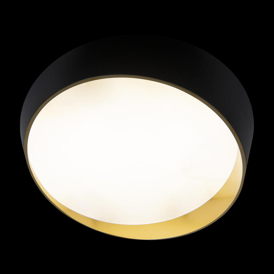 Фото №7  10199 Black Потолочный светильник LOFT IT Coin