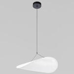 Превью фото №1  Подвесной светильник 10347/M Подвесной светильник LOFT IT Tense