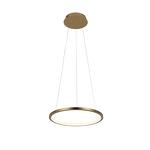 Превью фото №1  Подвесной светильник 10014S Подвесной светильник LOFT IT Ring