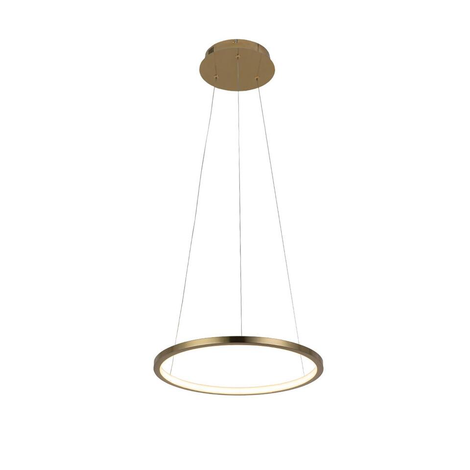 Фото №5  Подвесной светильник 10014S Подвесной светильник LOFT IT Ring