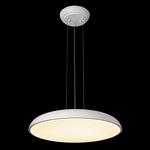 Превью фото №2  Подвесной светильник 10371P White Подвесной светильник LOFT IT Dime