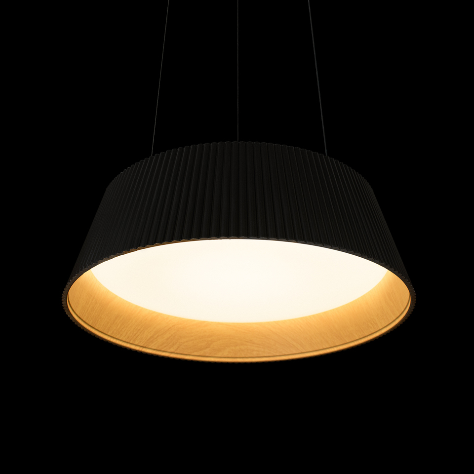 Фото №9  Подвесной светильник 10224P Black Подвесной светильник LOFT IT Evans