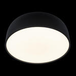 Превью фото №4  10201/480 Black Потолочный светильник LOFT IT Axel