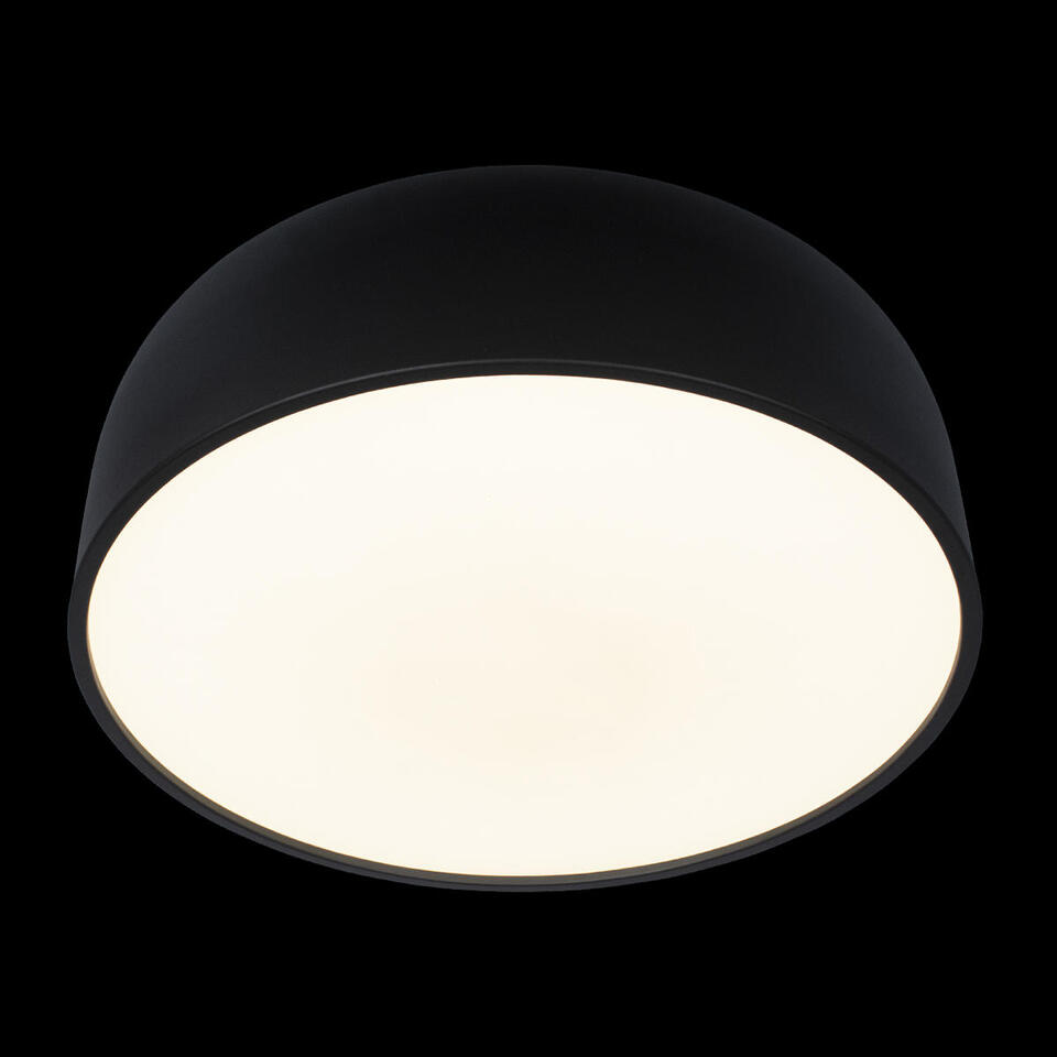Фото №6  10201/480 Black Потолочный светильник LOFT IT Axel