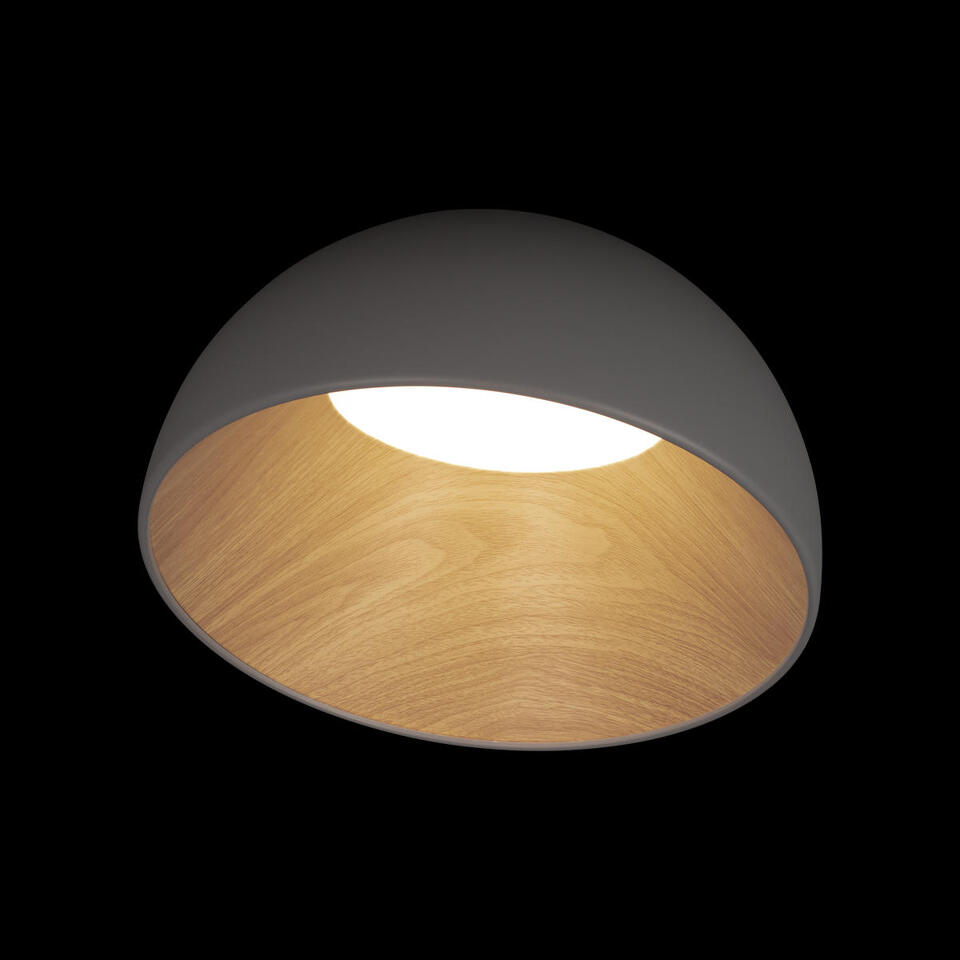 Фото №8  10197/350 Grey Потолочный светильник LOFT IT Egg