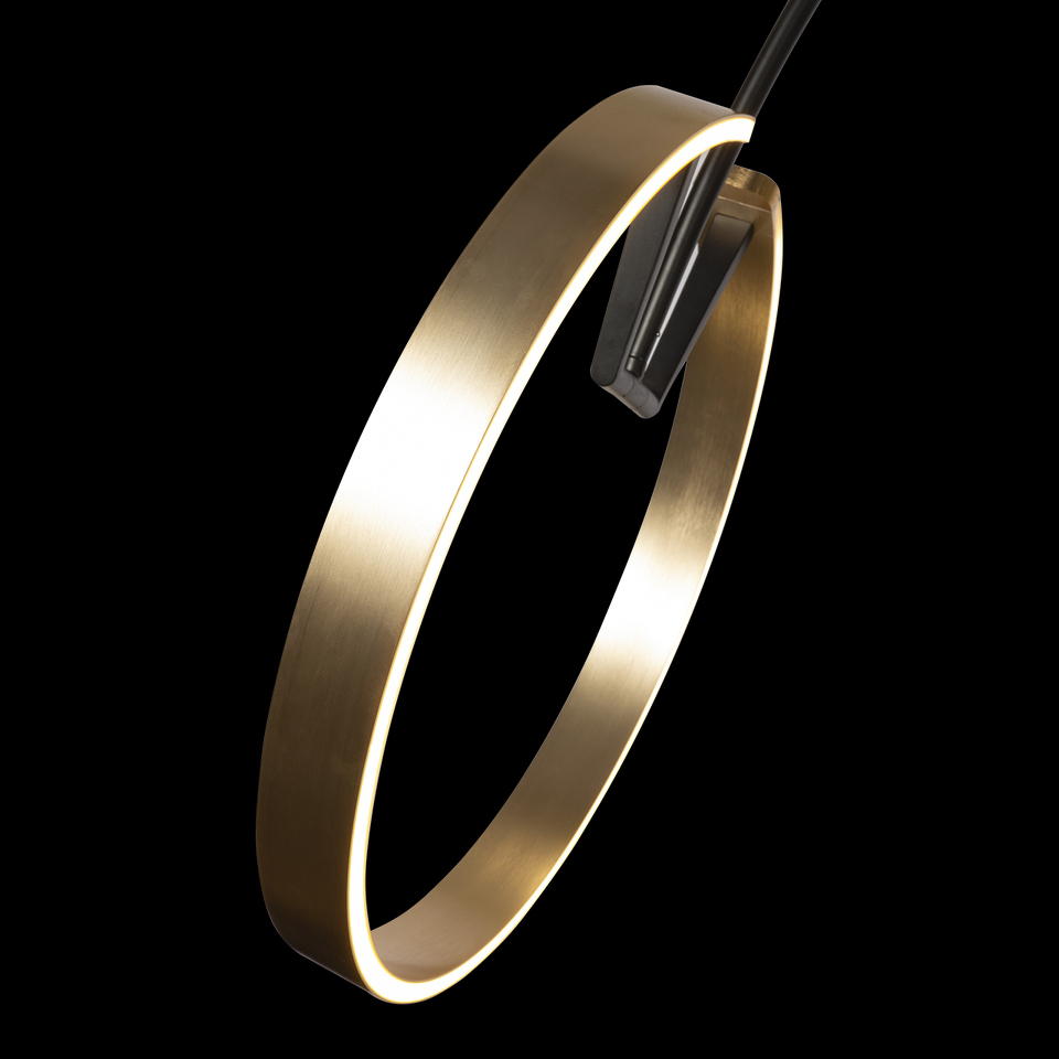 Фото №9  Торшер 10027 Торшер LOFT IT Ring