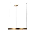 Превью фото №3  Подвесной светильник 10013L Подвесной светильник LOFT IT Ring
