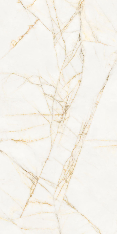 Фото №1  FLAVIKER Керамогранит SUPREME HEDONISM GOLD SPID. NAT R 60x120