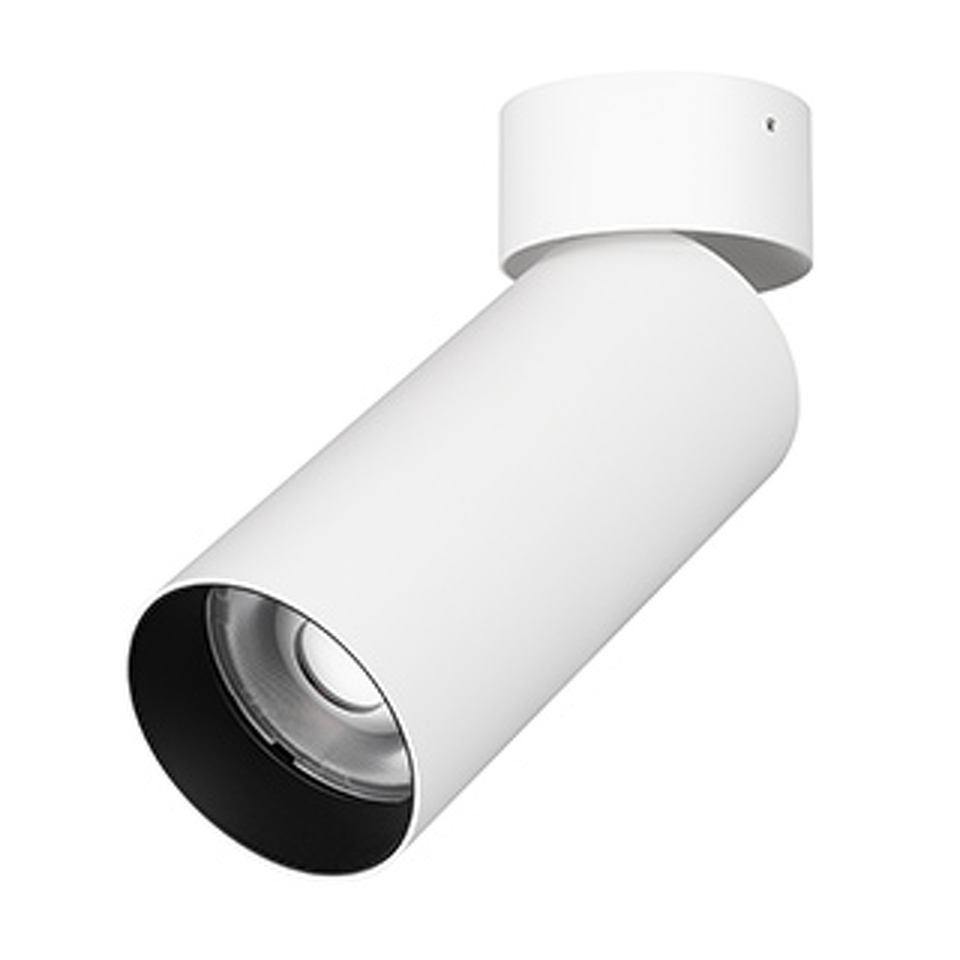 Фото №1  Arlight Светильник SP-GABI-SURFACE-FLAP-R60-12W Day4000 (WH, 36 deg, 230V) ( IP40 Металл, 5 лет)