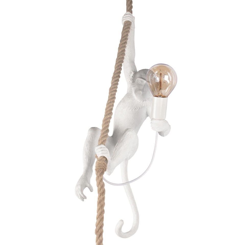 Фото №10  Подвесной светильник 10314P Подвесной светильник LOFT IT Monkey