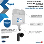 Превью фото №1  Teymi Бачок скрытого монтажа для приставного унитаза Aina, арт. T70012