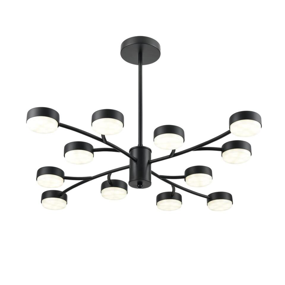 Фото №9  Люстра LUMION 8117/12 COMFI LN26 235 черный, металл Люстра LED GX53 12*7W 220V TORINA