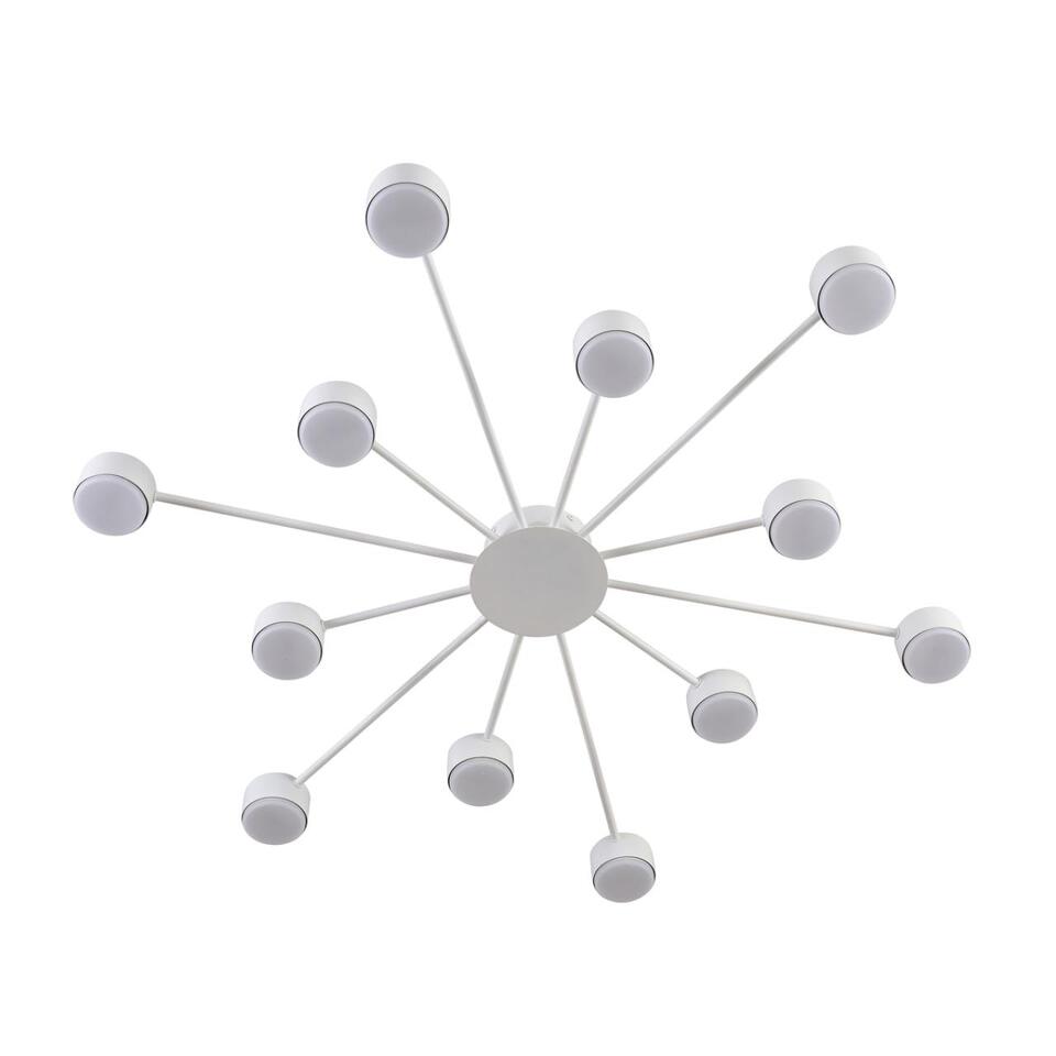 Фото №6  Люстра LUMION 8343/12C COMFI LN26 252 белый, металл Люстра GX53 LED 12*7W 220V TORINA