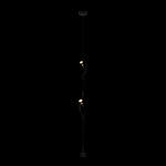 Превью фото №2  Подвесной светильник 10346/2 Black Подвесной светильник LOFT IT Parentesi