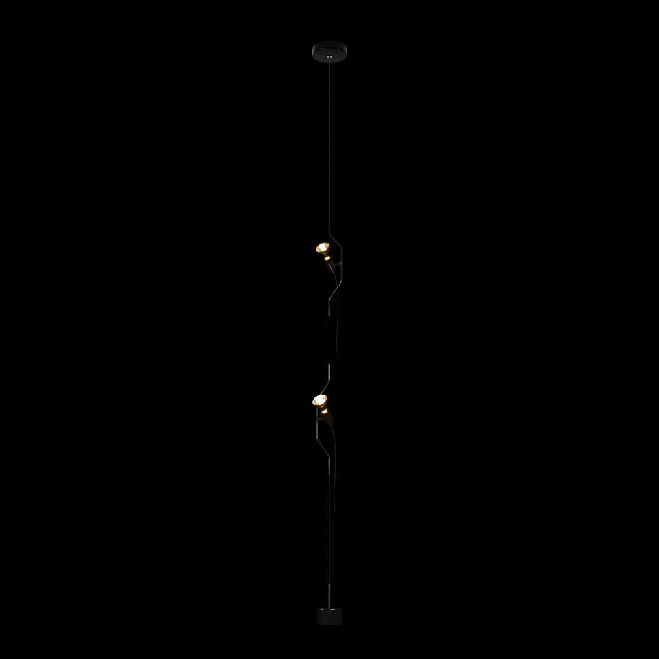 Фото №10  Подвесной светильник 10346/2 Black Подвесной светильник LOFT IT Parentesi
