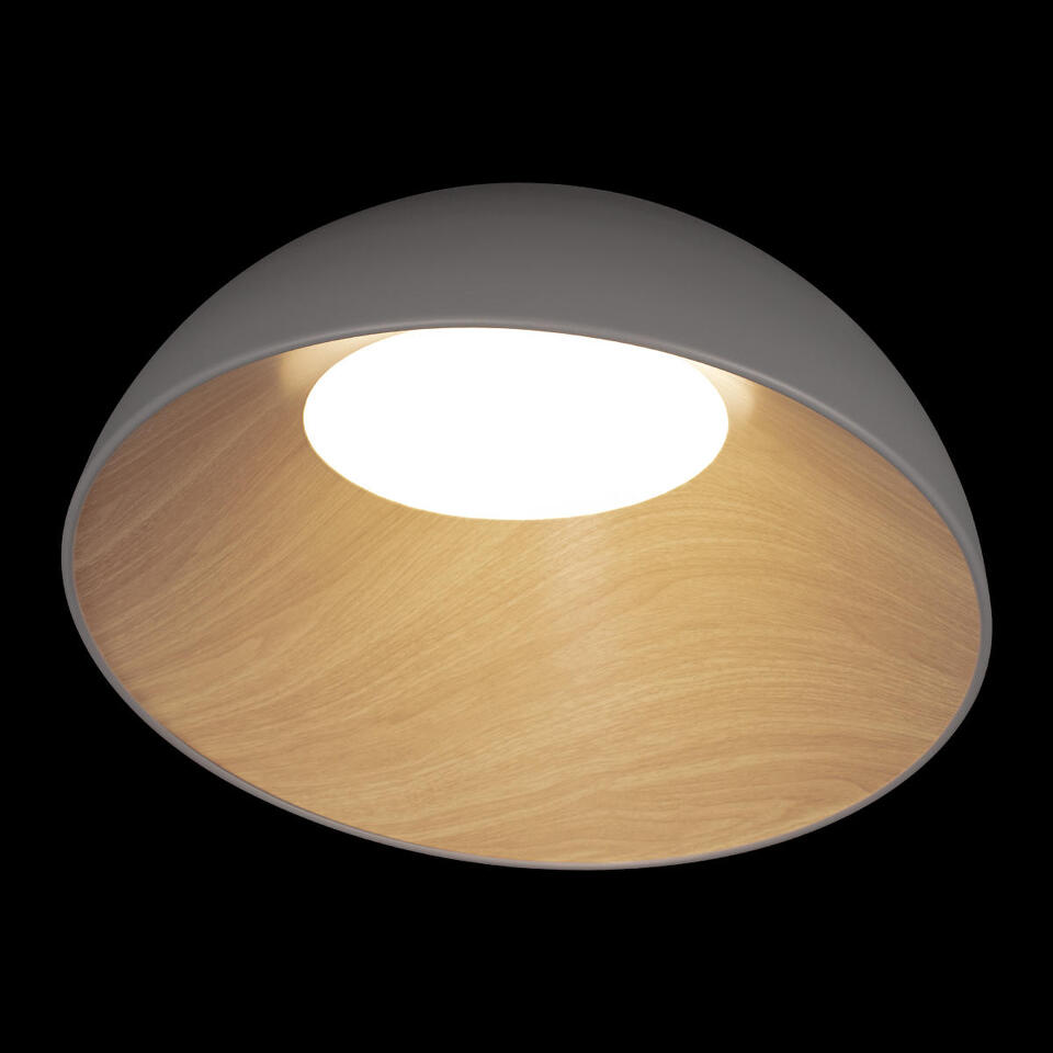Фото №8  10197/500 Grey Потолочный светильник LOFT IT Egg