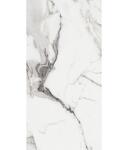 Превью фото №25  REX Керамогранит LES ORIGINES DE REX ARGENT GLOSSY 60X120