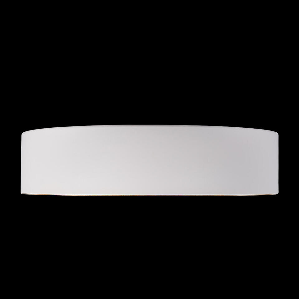 Фото №6  10202 White Потолочный светильник LOFT IT Coin