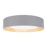 Превью фото №3  10202 Grey Потолочный светильник LOFT IT Coin