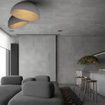 Превью фото №7  10197/500 Grey Потолочный светильник LOFT IT Egg
