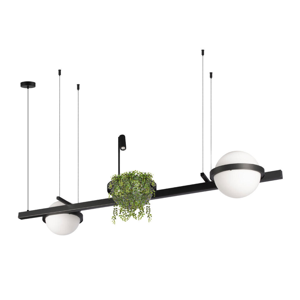 Фото №5  Подвесной светильник 10121/D Подвесной светильник LOFT IT Jardin