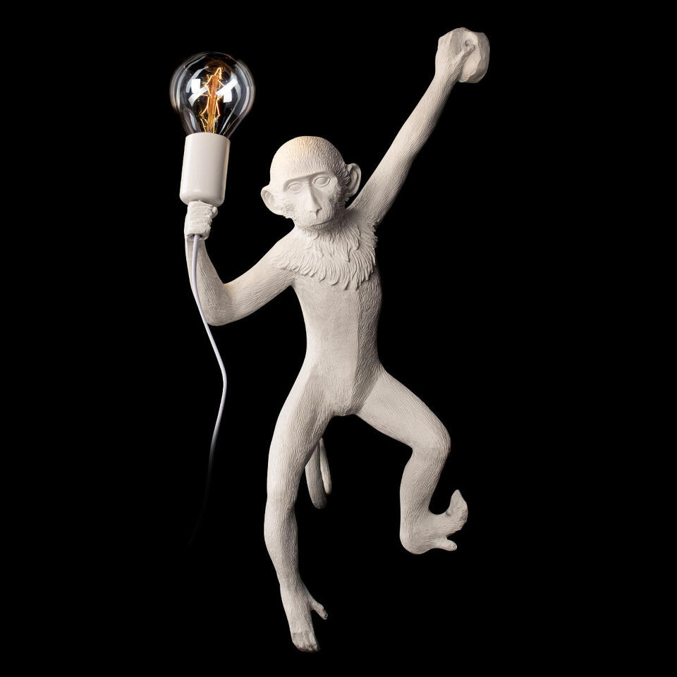 Фото №8  10314W/A Настенный светильник LOFT IT Monkey