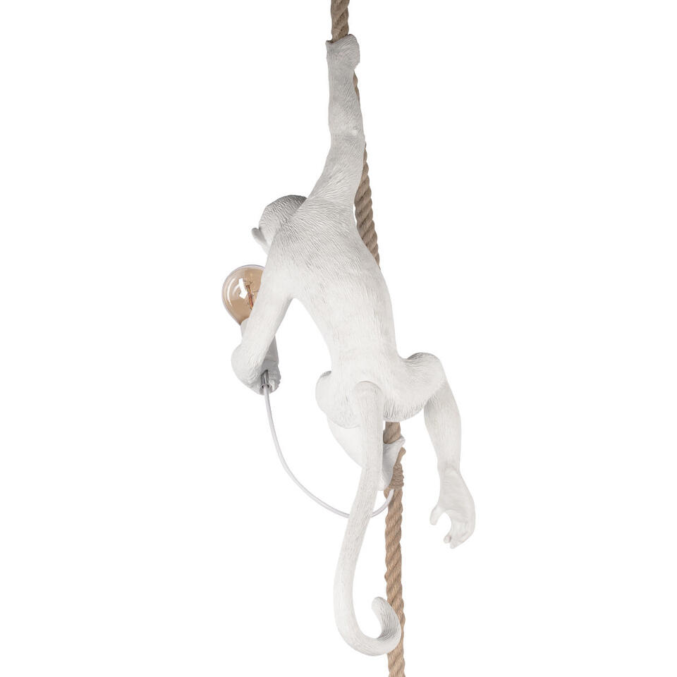 Фото №10  Подвесной светильник 10314P Подвесной светильник LOFT IT Monkey