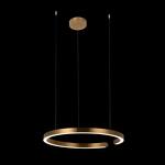 Превью фото №2  Подвесной светильник 10013L Подвесной светильник LOFT IT Ring