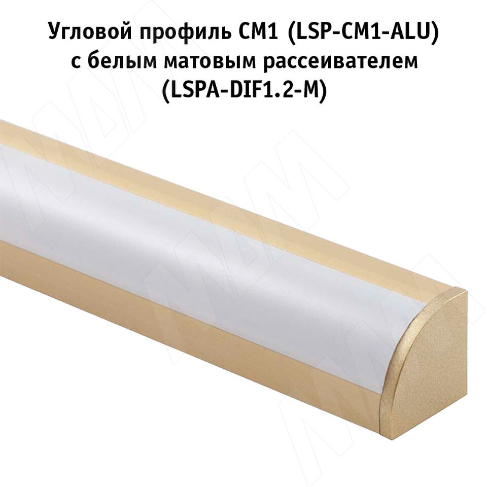 Фото №5  PULSE Заглушка торцевая для СМ1/CM2, золото матовое (LSPA-CAP-CM1/2-GL)