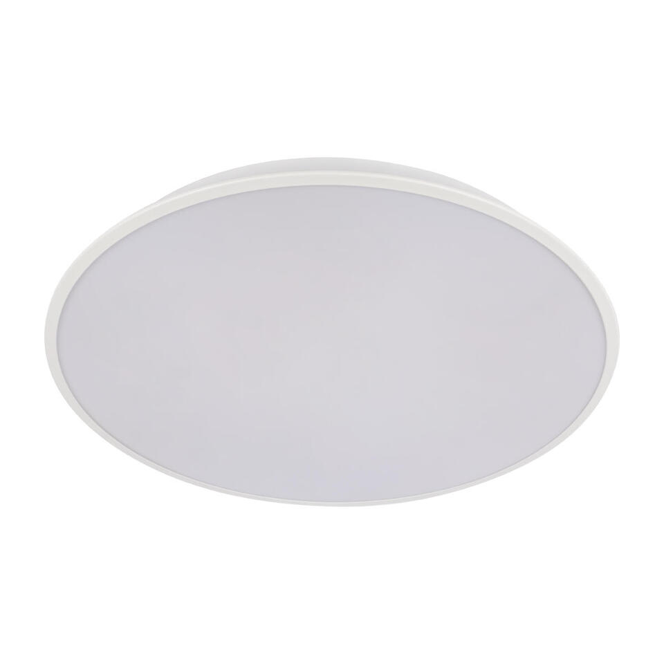 Фото №8  10226 White Потолочный светильник LOFT IT Brim