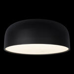 Превью фото №2  10201/480 Black Потолочный светильник LOFT IT Axel