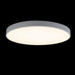 Превью фото №2  10002/48 White Потолочный светильник LOFT IT Axel