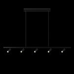 Превью фото №2  Подвесной светильник 10260/5 Black Подвесной светильник LOFT IT Sign