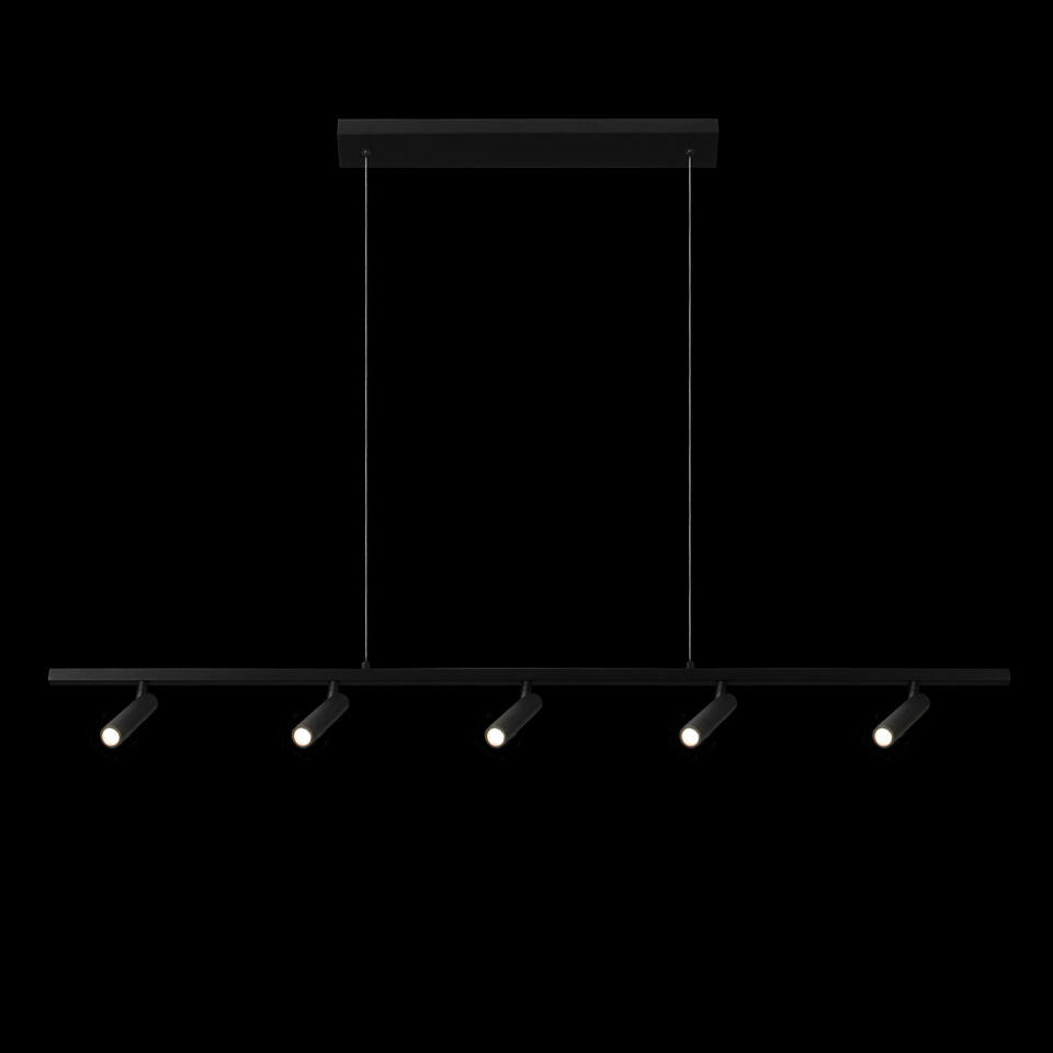 Фото №7  Подвесной светильник 10260/5 Black Подвесной светильник LOFT IT Sign