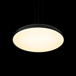 Превью фото №4  Подвесной светильник 10371P Black Подвесной светильник LOFT IT Dime