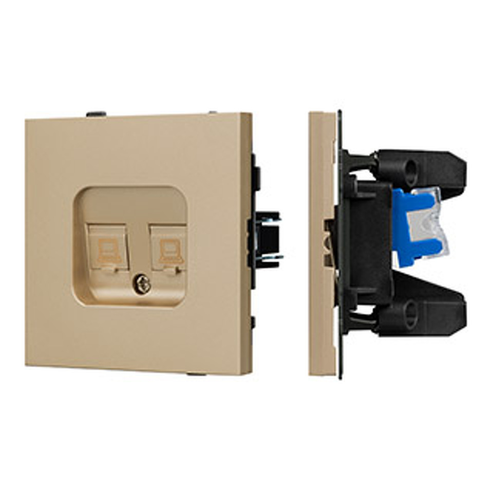 Фото №1  Розетка Arlight Механизм компьютерной розетки двойной SCT-TENDO-MPC2-SFPL-GD (RJ-45, CAT6) ( Матовый песочный)