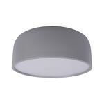 Превью фото №1  10201/350 Grey Потолочный светильник LOFT IT Axel