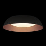 Превью фото №2  10229 Black Потолочный светильник LOFT IT Cappello