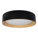 Превью фото №1  10202 Black Потолочный светильник LOFT IT Coin