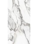 Превью фото №6  REX Керамогранит LES ORIGINES DE REX ARGENT GLOSSY 60X120