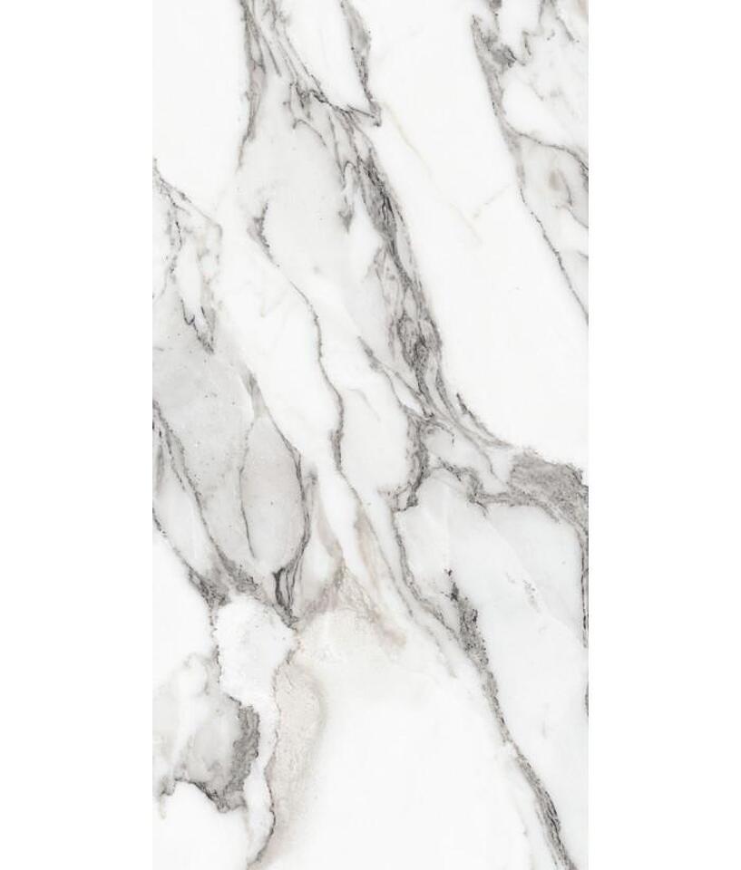 Фото №26  REX Керамогранит LES ORIGINES DE REX ARGENT GLOSSY 60X120