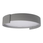 Превью фото №1  10200 Grey Потолочный светильник LOFT IT Coin