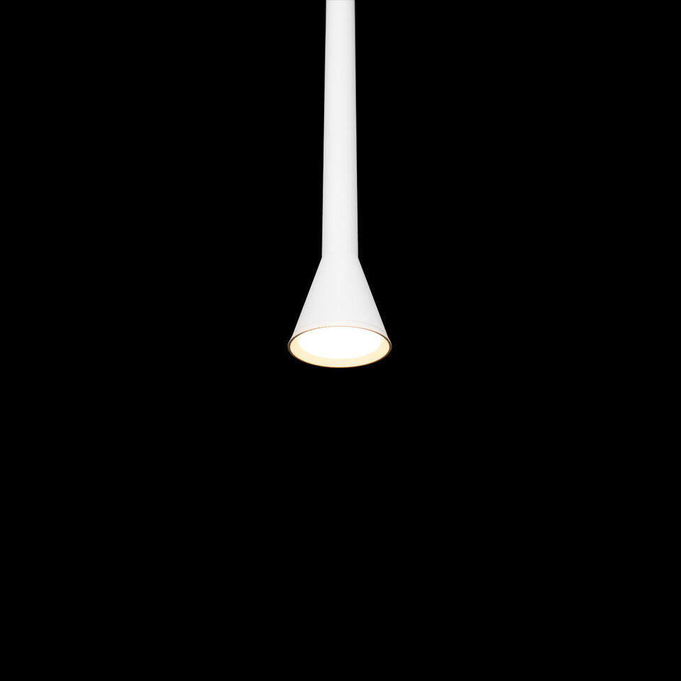 Фото №6  Подвесной светильник 10337/850 White Подвесной светильник LOFT IT Pipe
