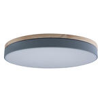 Превью фото №1  10001/36 Grey Потолочный светильник LOFT IT Axel