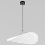 Превью фото №1  Подвесной светильник 10347/L Подвесной светильник LOFT IT Tense